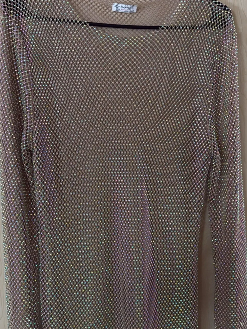 Free People Iridescent Mesh Long Sleeve Top - Nude with Rainbow Sheen